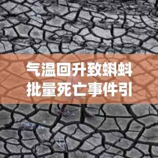 气温回升致蝌蚪批量死亡事件引发关注