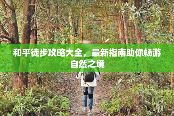 和平徒步攻略大全,最新指南助你畅游自然之境