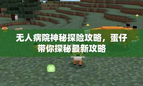 无人病院神秘探险攻略,蛋仔带你探秘最新攻略