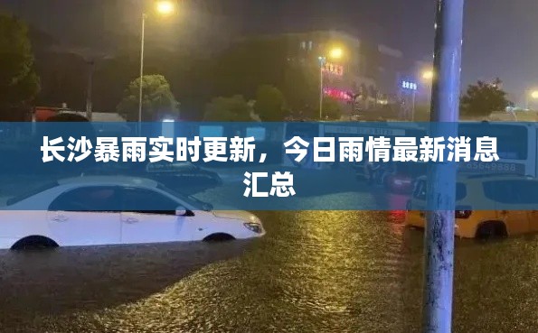 长沙暴雨实时更新,今日雨情最新消息汇总