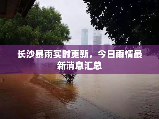 长沙暴雨实时更新,今日雨情最新消息汇总