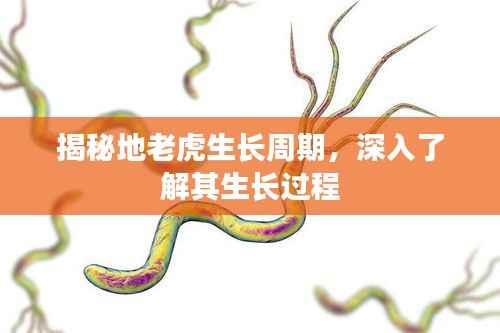 揭秘地老虎生长周期,深入了解其生长过程