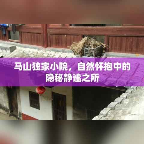 马山独家小院,自然怀抱中的隐秘静谧之所