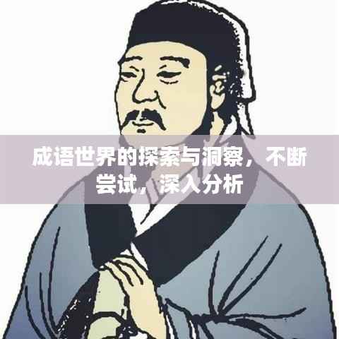 成语世界的探索与洞察，不断尝试，深入分析