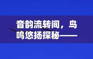 音韵流转间，鸟鸣悠扬探秘——揭秘不断鸟号的奥秘