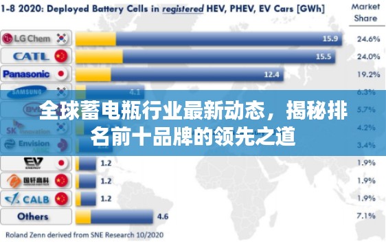 全球蓄电瓶行业最新动态,揭秘排名前十品牌的领先之道