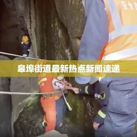 乌鸟之情 第5页