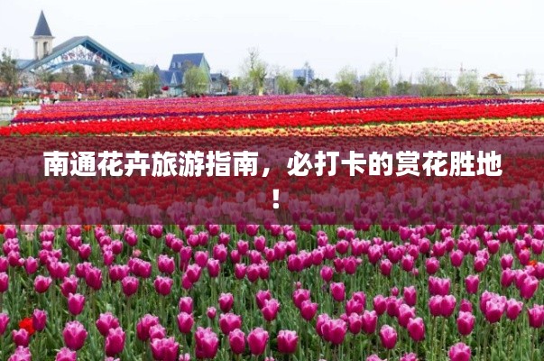 南通花卉旅游指南，必打卡的赏花胜地！