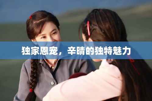 独家恩宠,辛晴的独特魅力