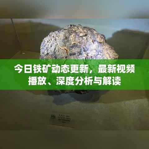 今日铁矿动态更新,最新视频播放、深度分析与解读