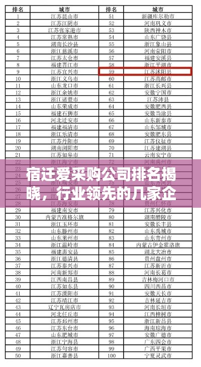 宿迁爱采购公司排名揭晓，行业领先的几家企业榜单出炉！