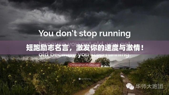 短跑励志名言,激发你的速度与激情!