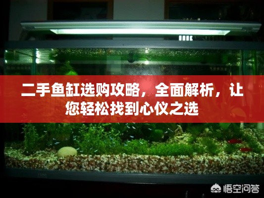 二手鱼缸选购攻略,全面解析,让您轻松找到心仪之选