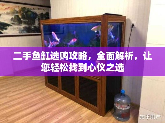 二手鱼缸选购攻略,全面解析,让您轻松找到心仪之选