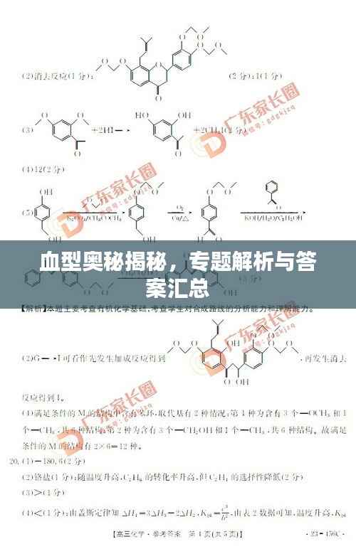 血型奥秘揭秘，专题解析与答案汇总