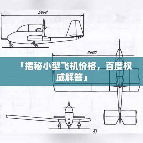 「揭秘小型飞机价格,百度权威解答」