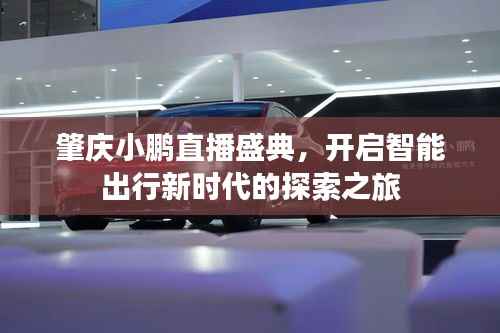 肇庆小鹏直播盛典,开启智能出行新时代的探索之旅