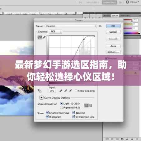 最新梦幻手游选区指南，助你轻松选择心仪区域！