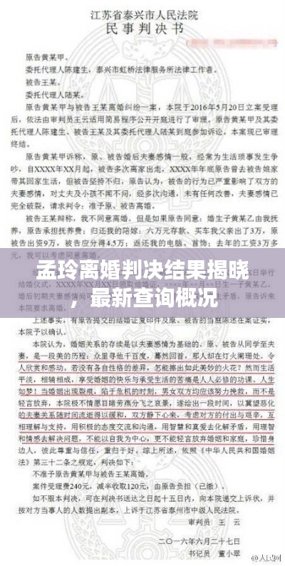 孟玲离婚判决结果揭晓,最新查询概况