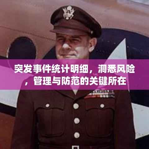 突发事件统计明细,洞悉风险,管理与防范的关键所在