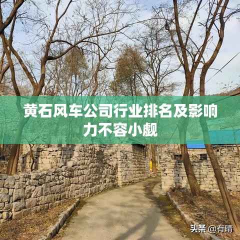 黄石风车公司行业排名及影响力不容小觑