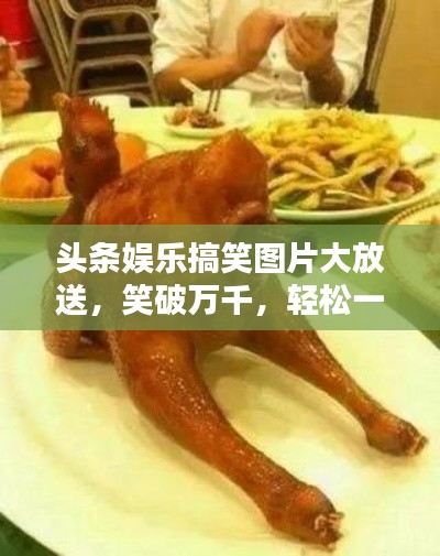 头条娱乐搞笑图片大放送，笑破万千，轻松一刻欢乐来袭