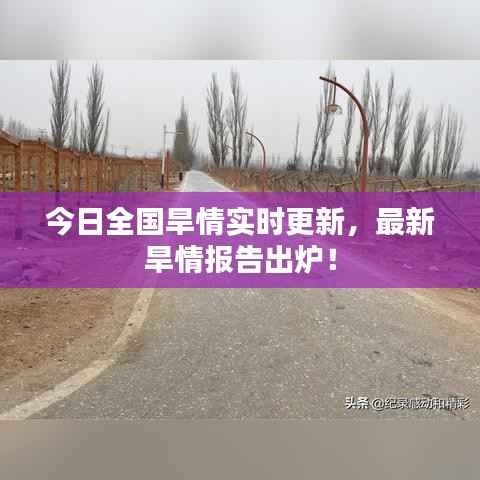 今日全国旱情实时更新,最新旱情报告出炉!