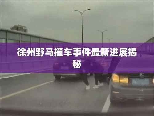 徐州野马撞车事件最新进展揭秘