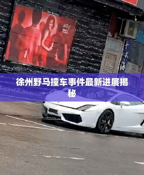 徐州野马撞车事件最新进展揭秘