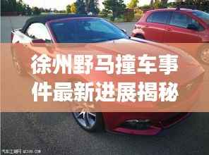 徐州野马撞车事件最新进展揭秘
