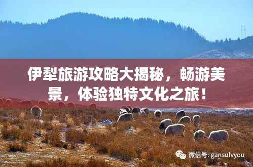 伊犁旅游攻略大揭秘,畅游美景,体验独特文化之旅!