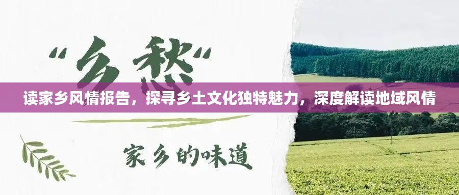 读家乡风情报告,探寻乡土文化独特魅力,深度解读地域风情
