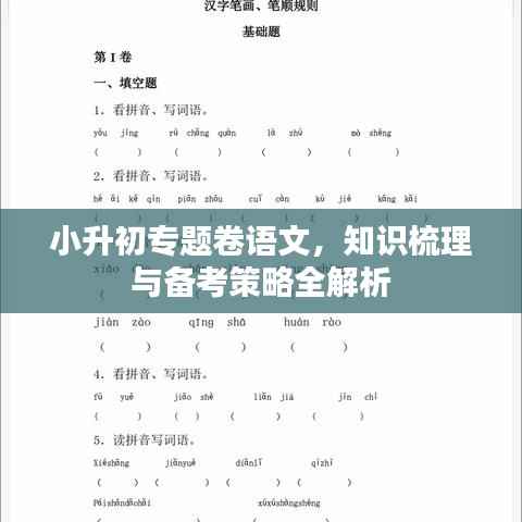 小升初专题卷语文,知识梳理与备考策略全解析