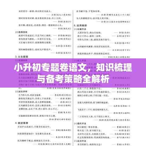 小升初专题卷语文,知识梳理与备考策略全解析