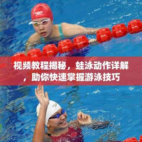 视频教程揭秘，蛙泳动作详解，助你快速掌握游泳技巧