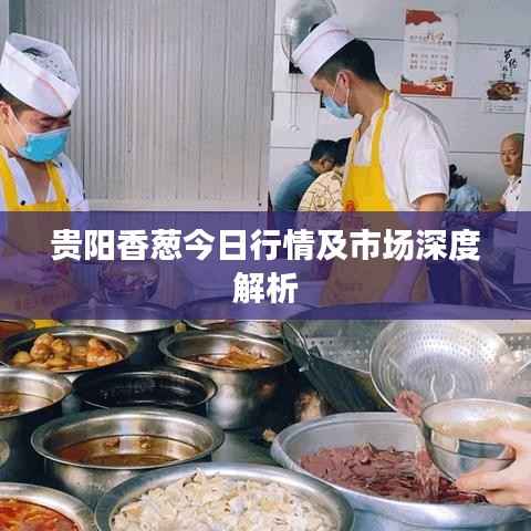 贵阳香葱今日行情及市场深度解析