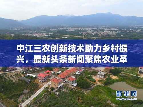 中江三农创新技术助力乡村振兴,最新头条新闻聚焦农业革命之路