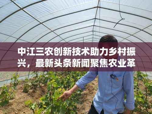 中江三农创新技术助力乡村振兴,最新头条新闻聚焦农业革命之路