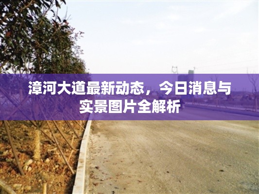 漳河大道最新动态,今日消息与实景图片全解析