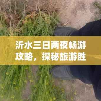 沂水三日两夜畅游攻略，探秘旅游胜地，体验绝佳行程！