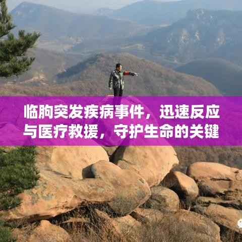 临朐突发疾病事件，迅速反应与医疗救援，守护生命的关键时刻