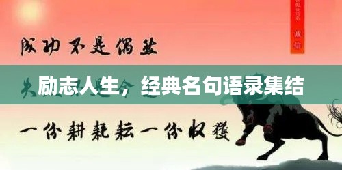 励志人生,经典名句语录集结