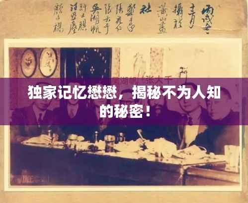 独家记忆懋懋,揭秘不为人知的秘密!