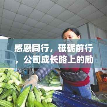 感恩同行，砥砺前行，公司成长路上的励志之旅