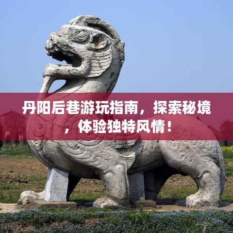 丹阳后巷游玩指南，探索秘境，体验独特风情！