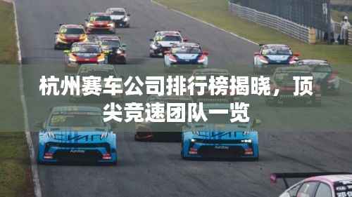 杭州赛车公司排行榜揭晓,顶尖竞速团队一览