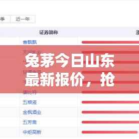 兔茅今日山东最新报价，抢购前必知！