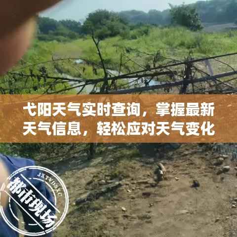 弋阳天气实时查询，掌握最新天气信息，轻松应对天气变化
