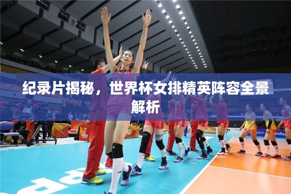 纪录片揭秘，世界杯女排精英阵容全景解析