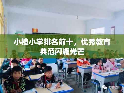 小榄小学排名前十,优秀教育典范闪耀光芒